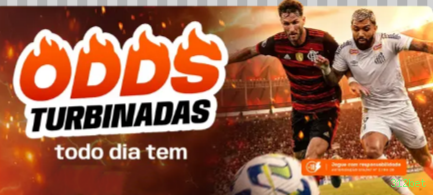 Suporte VIP 312bet - atendimento prioritário